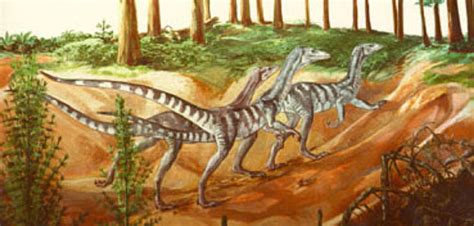 velvet dinosaur oxygen|Elevated Levels of Oxygen Gave Rise to North American .